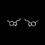 srebrne kolczyki z wzorem serotoniny - biżuteria z wzorami chemicznymi