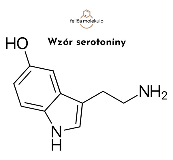 serotonina - wzór strukturalny i chemiczny